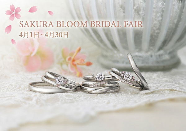 婚約指輪 結婚指輪をお得に！特別企画15％ご優待